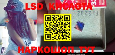 ПСИЛОЦИБИНОВЫЕ ГРИБЫ Лесной